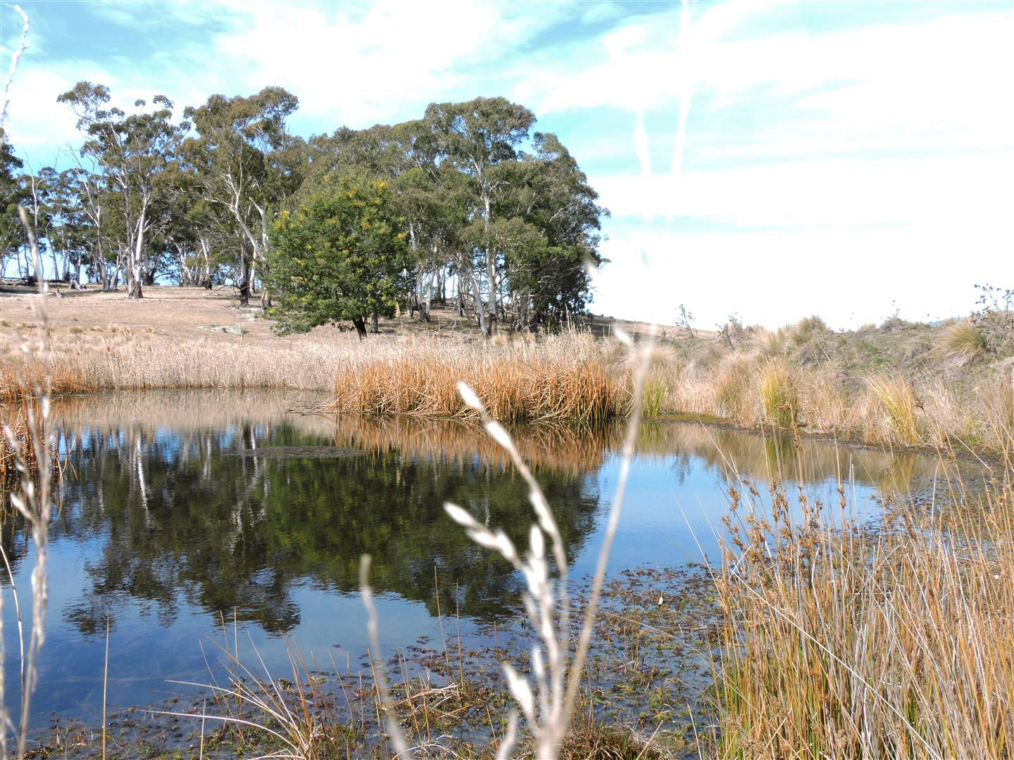 100-LBS2574-Snowy-Mountains-Monaro
