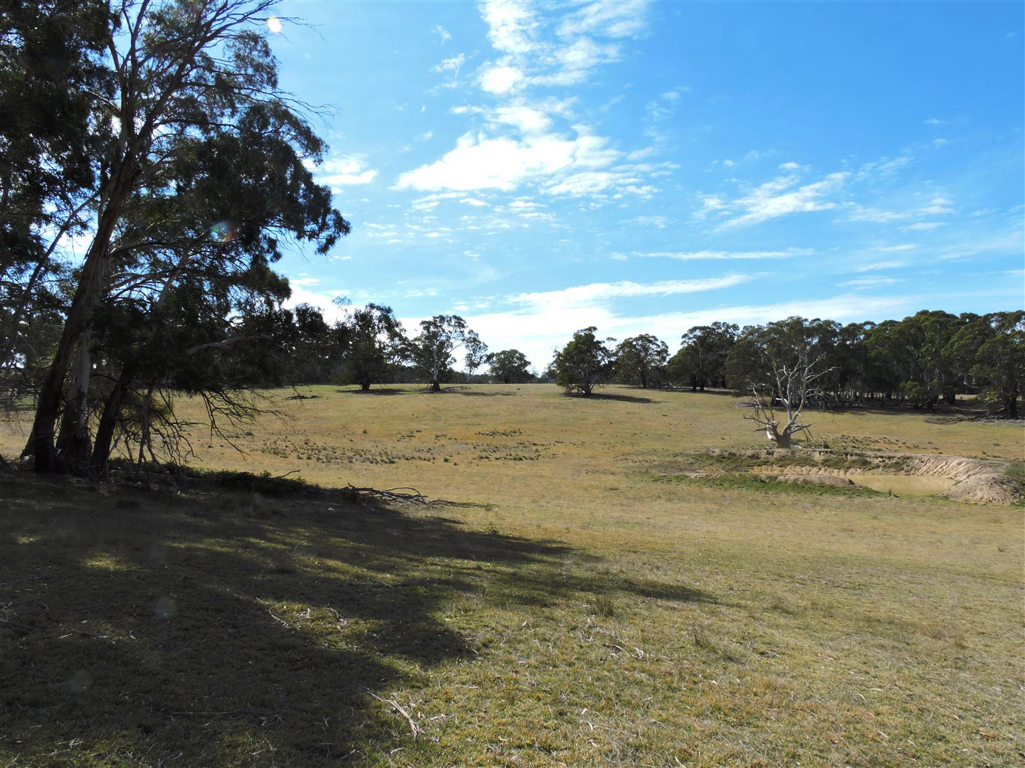 343-LBS2574-Snowy-Mountains-Monaro