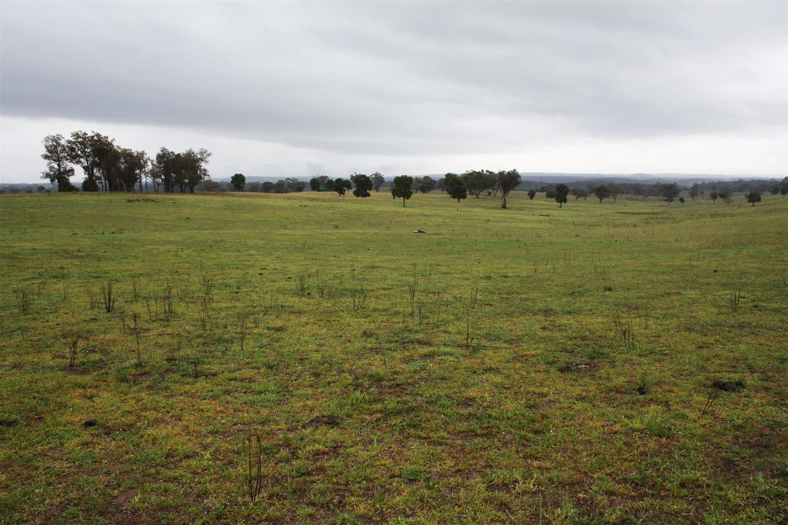 428-NLA2397-Central-Tablelands
