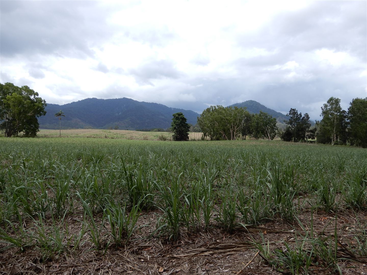 532-LHM3422-North-Queensland-Coast-Hinterland