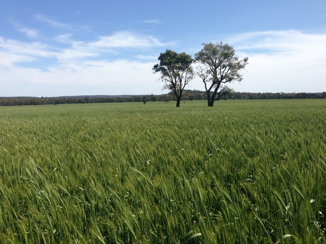 866-LFE2825-Central-West-Slopes-Plains